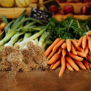 Compras en línea de productos vegetales requieren autorización  previa para ingresar al país